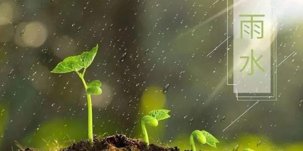 雨水 | 潤澤萬物，耀先環(huán)境愿你得綿遠(yuǎn)深情