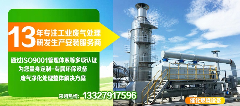 沸石轉輪+催化燃燒